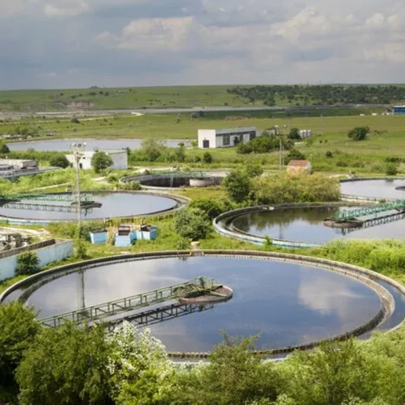 Huge basins of water in the middle of a green space