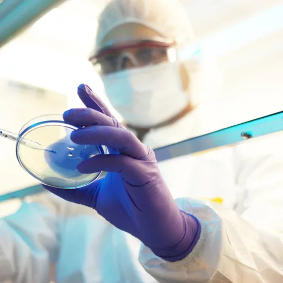 Pharma - Cell culture - iStock-530817998